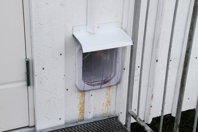 Sally har fått en egen dörr, kattlucka.