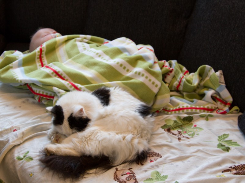 Sally är med mer omkring Ivar.